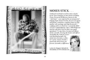 Walking Sticks...page 64 MOSES stick